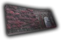 Ancient Bloom