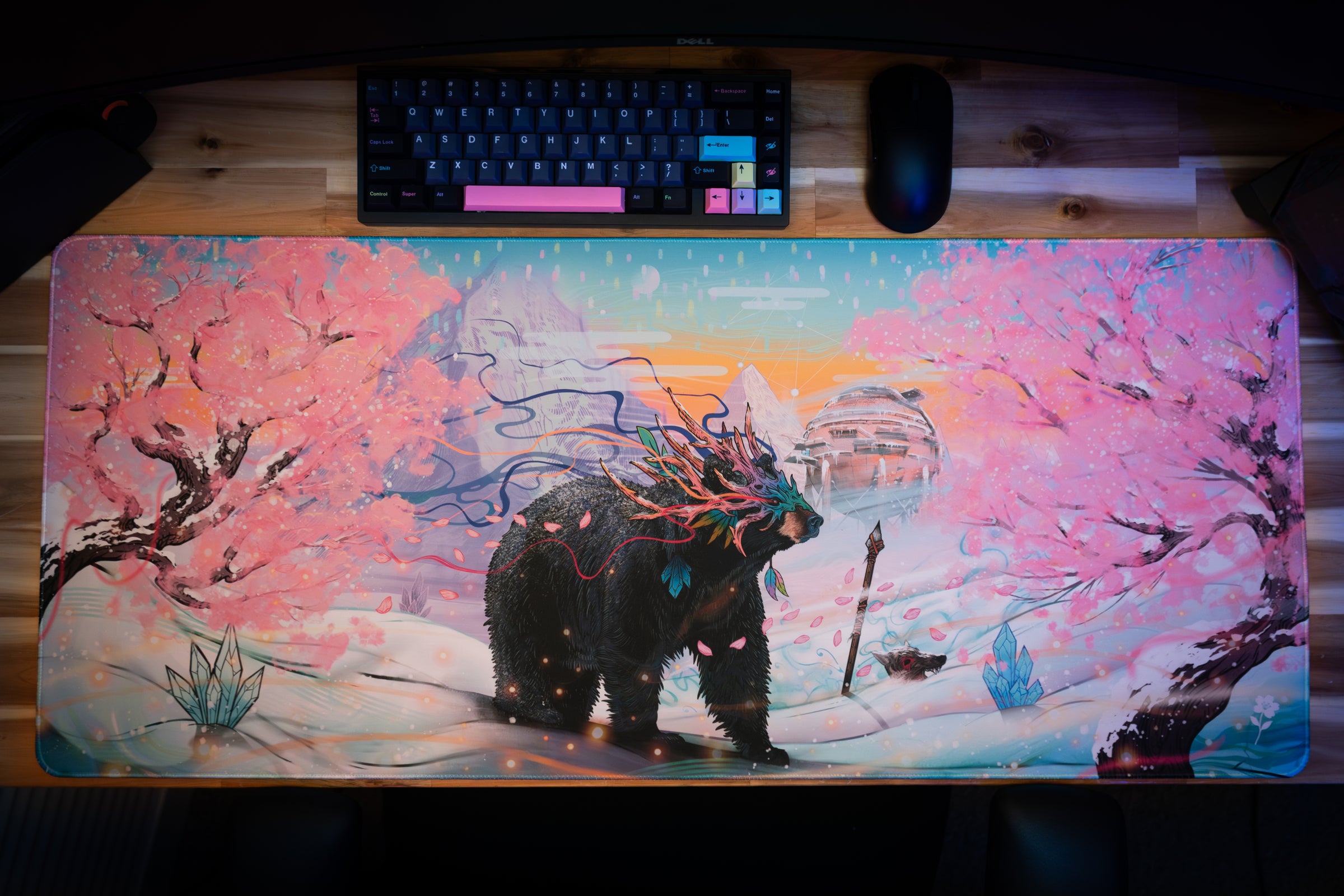 Winter Sakura