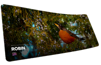 American Robin America 250 Animal Collection
