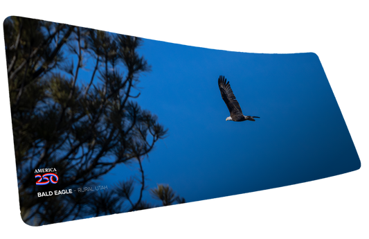 "Bald Eagle in Flight America 250 Animal Collection" Animals XL gaming deskmat — Epic Desk