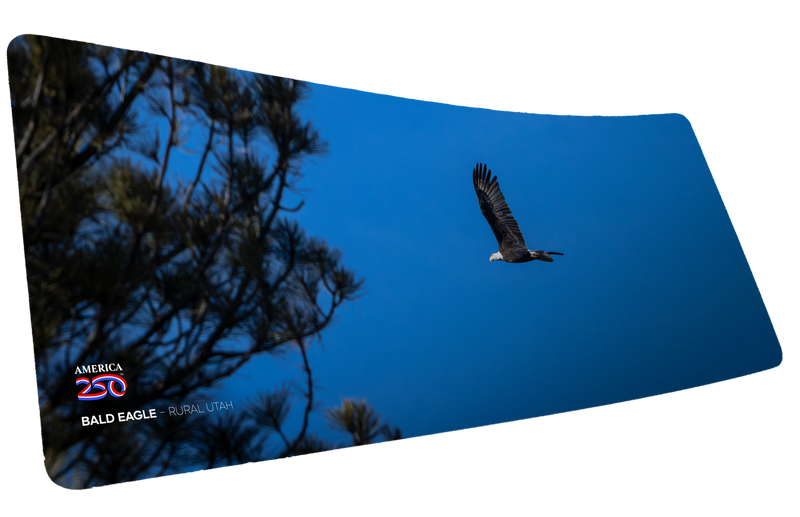 "Bald Eagle in Flight America 250 Animal Collection" Animals XL gaming deskmat — Epic Desk