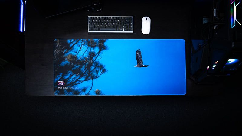 Bald Eagle in Flight deskmat featuring a soaring bald eagle against a clear blue Utah sky with silhouetted pine branches, part of the America 250 collection.