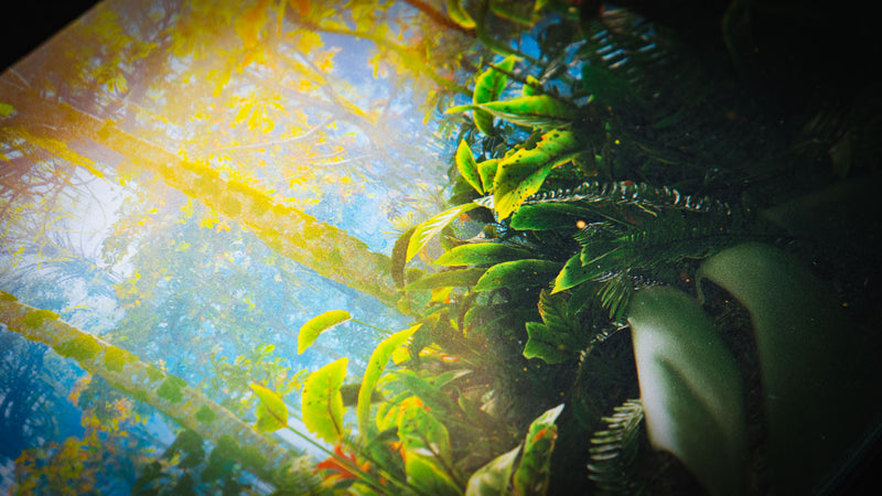 Close-up of the Jungle Exploration gaming deskmat showcasing vibrant rainforest foliage, lush tropical plants, and sunlight streaming through the jungle canopy.