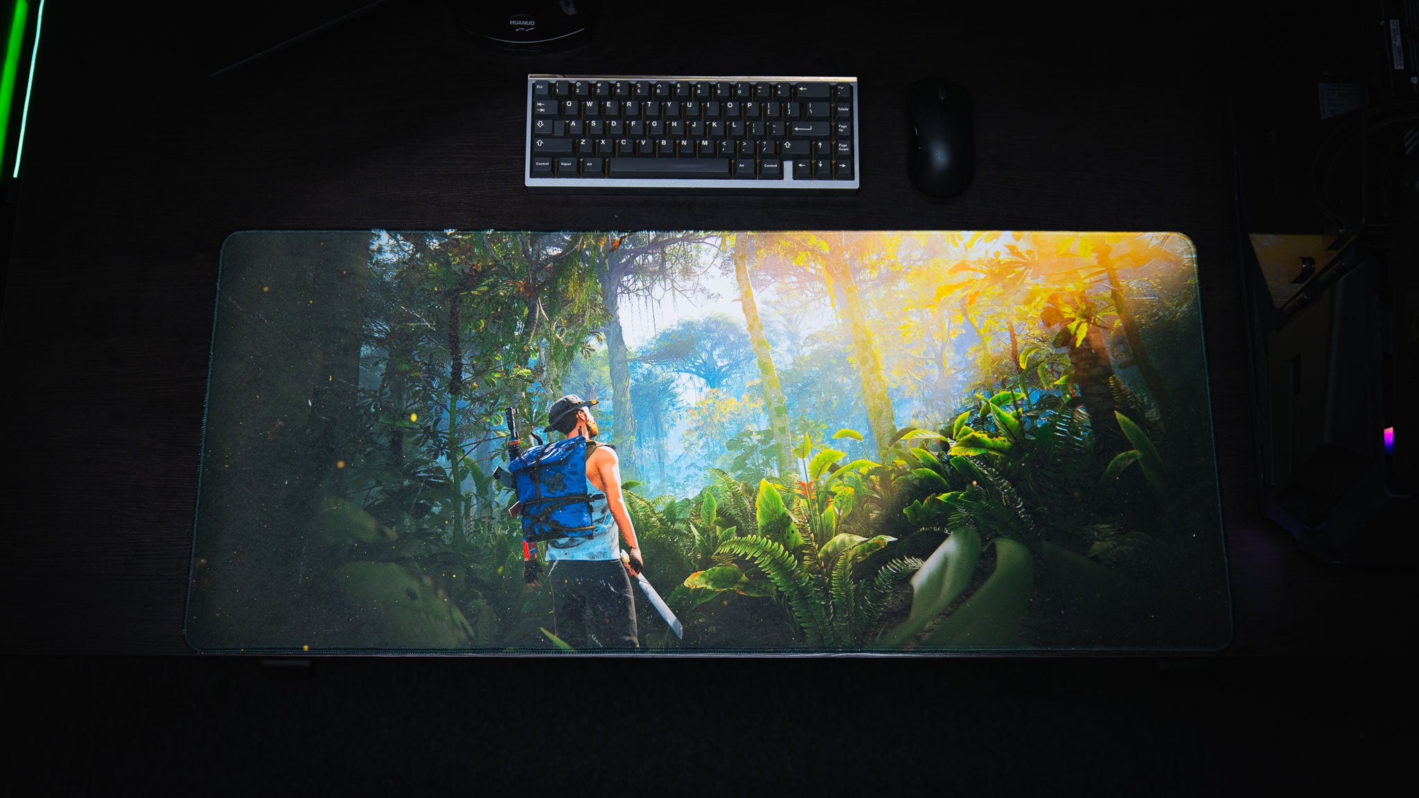 Jungle Exploration