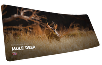 Mule Deer America 250 Animal Collection