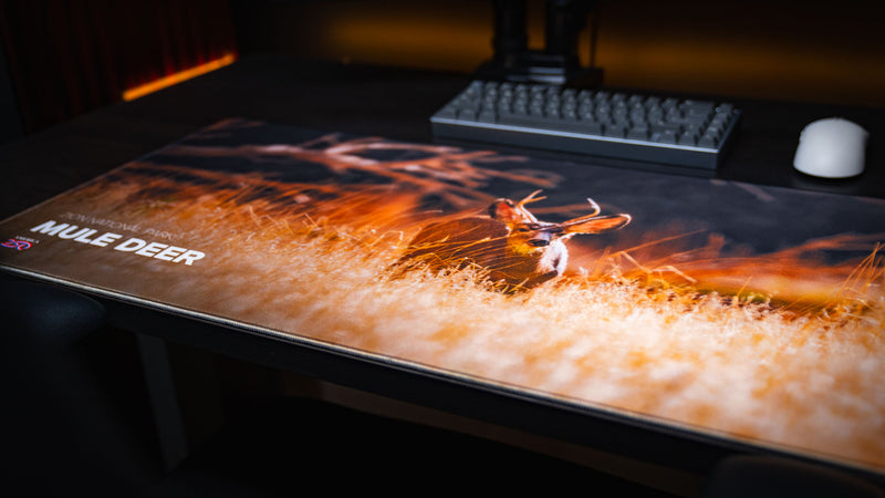 Angled workstation view of the Mule Deer America 250 deskmat featuring a mule deer in golden Zion grass, keyboard, mouse, and warm lighting.