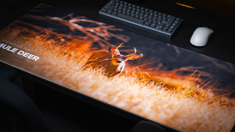 Mule Deer America 250 deskmat shown on a workstation with an antlered mule deer in glowing golden grass, keyboard, and white mouse.