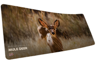 Mule Deer Buck America 250 Animal Collection
