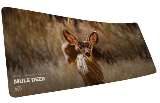 "Mule Deer Buck America 250 Animal Collection" Animals XL gaming deskmat — Epic Desk