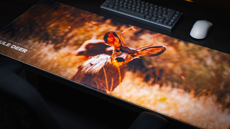 Angled view of the Bryce Canyon Mule Deer Buck premium gaming deskmat featuring a close-up mule deer buck with velvet antlers, displayed on a modern gaming desk with a mechanical keyboard and mouse.