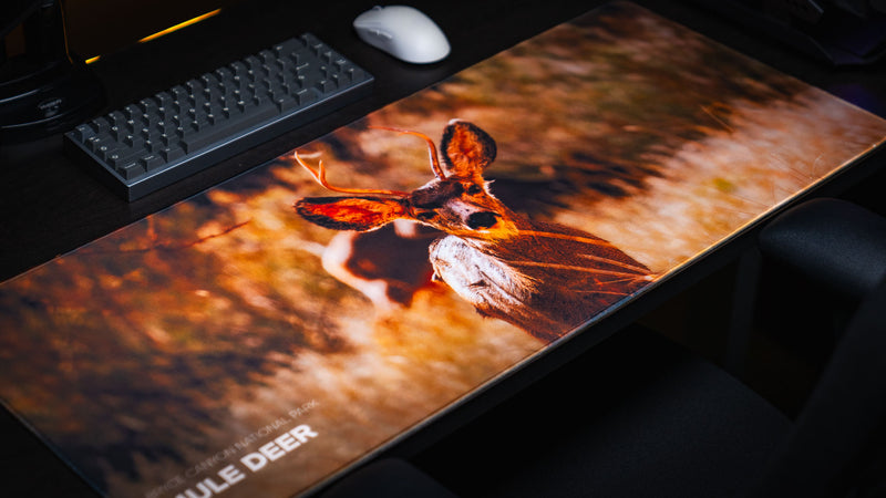 Angled view of the Mule Deer Buck America 250 deskmat featuring a close-up portrait of a mule deer buck on a premium stitched-edge gaming desk mat.