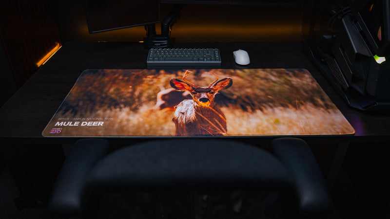 Full desk setup featuring the Mule Deer Buck premium gaming deskmat with a striking close-up of a mule deer buck, photographed on a modern workstation with a mechanical keyboard and mouse.