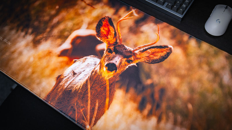 Detailed angled view of the Mule Deer Buck America 250 deskmat showcasing the lifelike wildlife photography, premium fabric surface, and rich warm tones on a gaming desk.