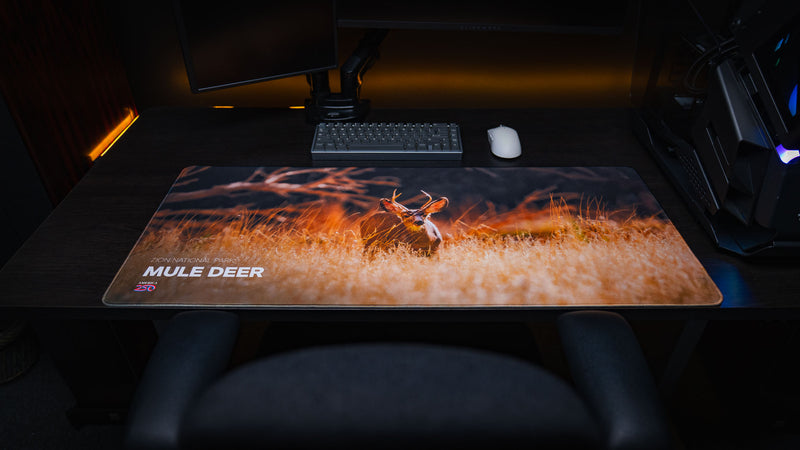 Front workstation view of the Mule Deer America 250 deskmat featuring a mule deer in golden Zion grass with keyboard, mouse, and warm ambient lighting.