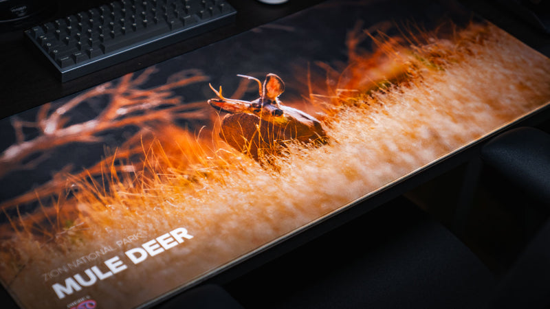 Close-up of the Mule Deer America 250 deskmat featuring a mule deer resting in golden grass with Zion National Park title branding.