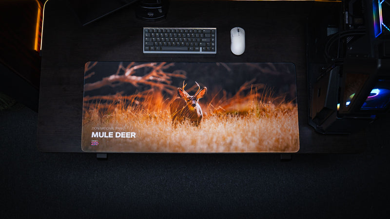 Overhead view of the Mule Deer America 250 deskmat featuring Zion National Park wildlife artwork, a mule deer in golden grass, keyboard, and white mouse.