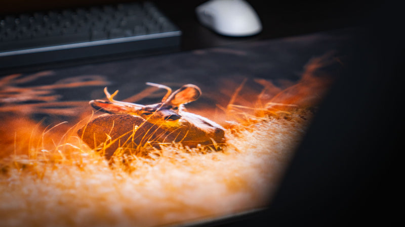 Macro view of the Mule Deer America 250 deskmat showing a mule deer in glowing golden grass with soft wildlife print detail.