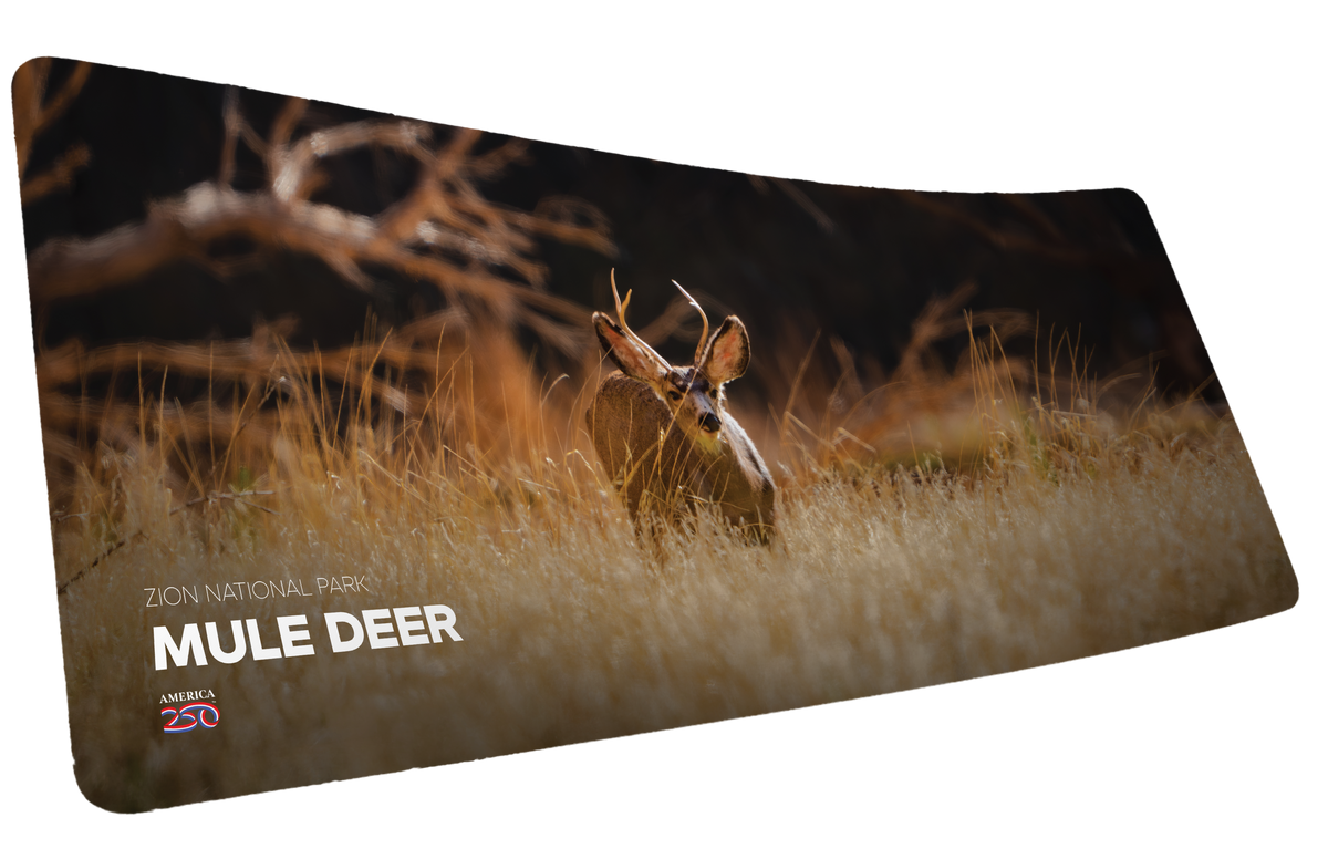 "Mule Deer America 250 Animal Collection" Animals XL gaming deskmat — Epic Desk