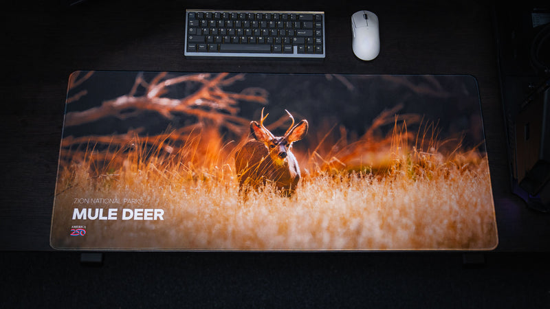 Overhead full view of the Mule Deer America 250 deskmat featuring a mule deer in golden Zion National Park grass with keyboard and white mouse.