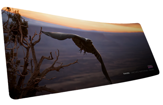 "Raven America 250 Animal Collection" Animals XL gaming deskmat — Epic Desk