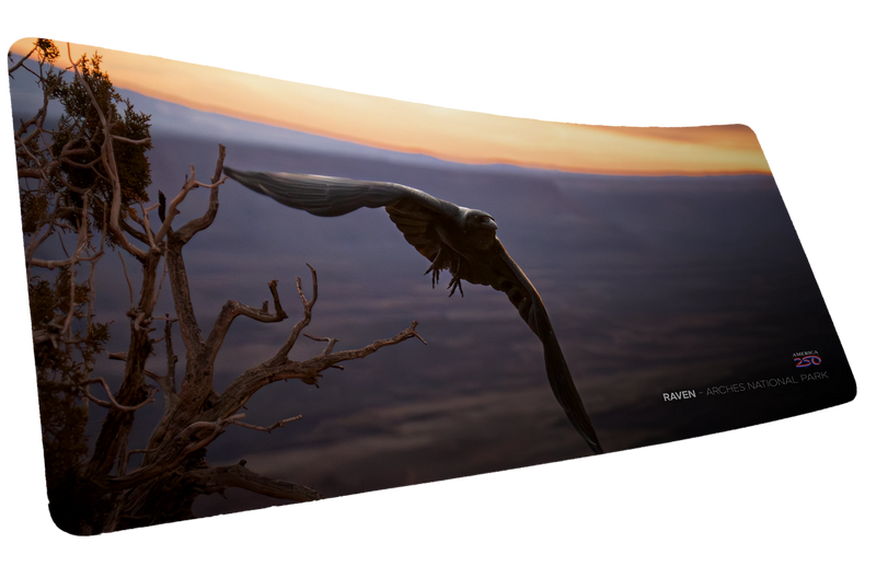 "Raven America 250 Animal Collection" Animals XL gaming deskmat — Epic Desk