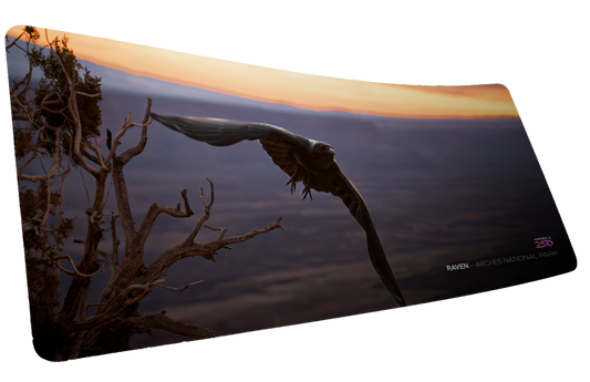 "Raven America 250 Animal Collection" Animals XL gaming deskmat — Epic Desk