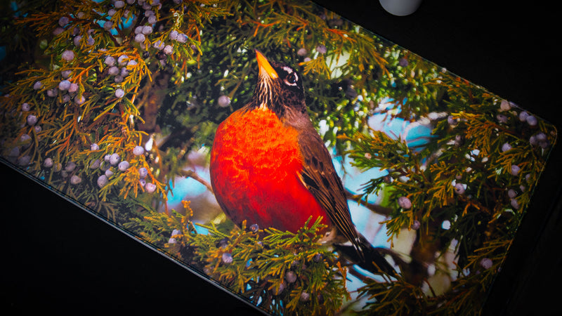 "American Robin America 250 Animal Collection" — Animals Deskmat