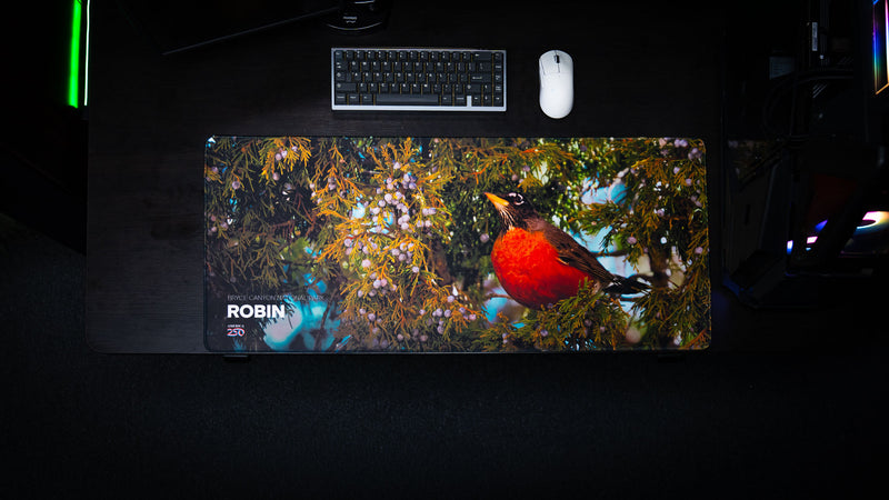 Top-down view of the Robin wildlife deskmat featuring an American robin perched among juniper branches and berries in Bryce Canyon National Park, displayed on a modern gaming desk.