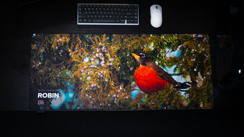 American robin perched among juniper branches and berries in Bryce Canyon National Park, featured on a premium wildlife deskmat with vivid colors and detailed photography.