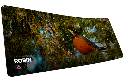"American Robin America 250 Animal Collection" Animals XL gaming deskmat — Epic Desk