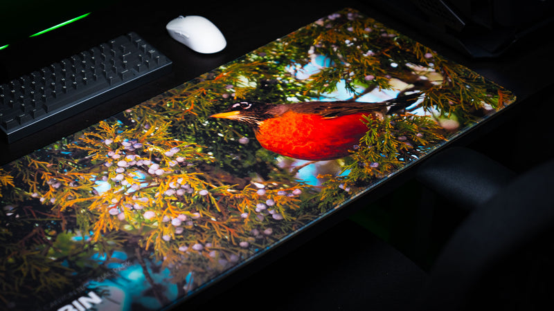 Angled close-up of the Robin wildlife deskmat featuring a vibrant American robin perched among juniper branches and berries, showcasing the premium print quality and stitched-edge finish.