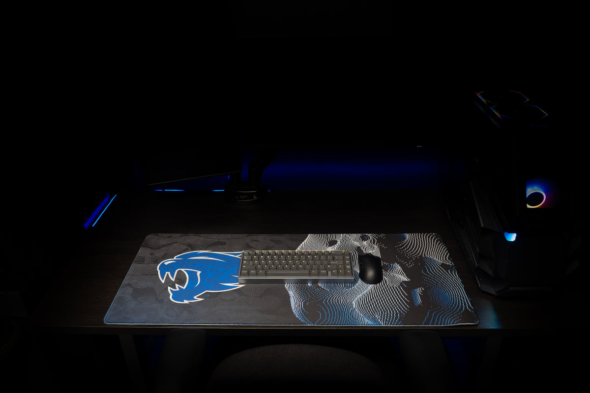 University of Kentucky - Wildcat Soundwave