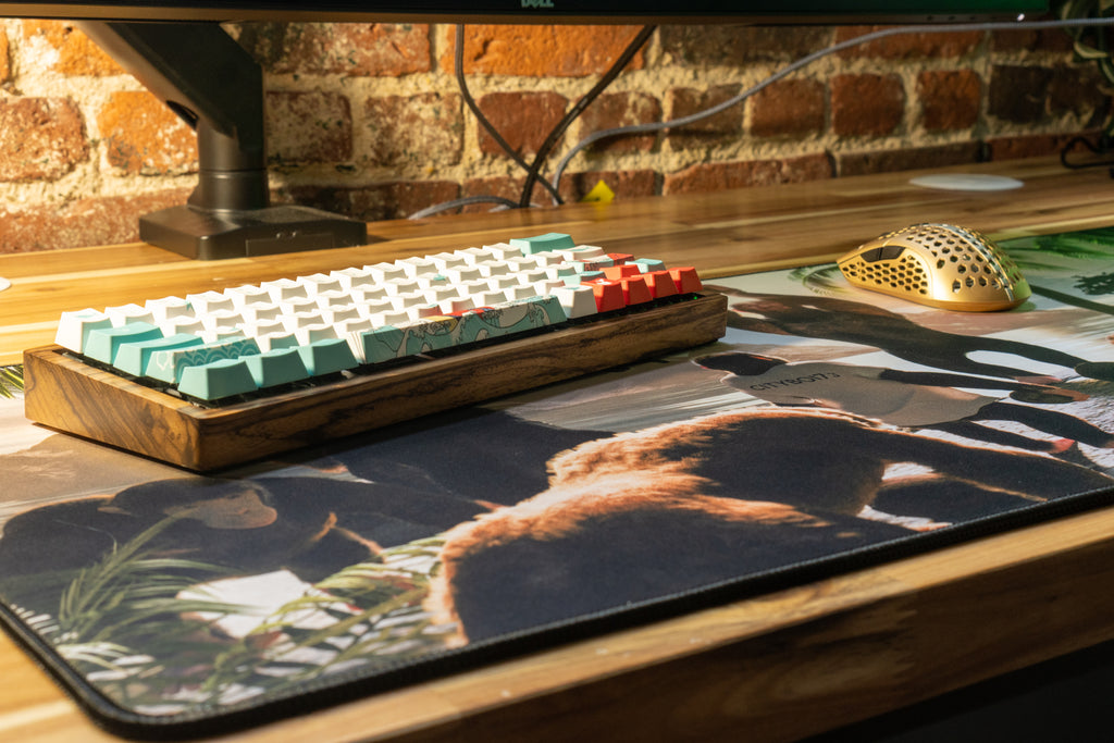 **IN PRODUCTION** Limited Edition - "CoconutB" Content Creator Collaboration XL Mousepad - Epic Desk